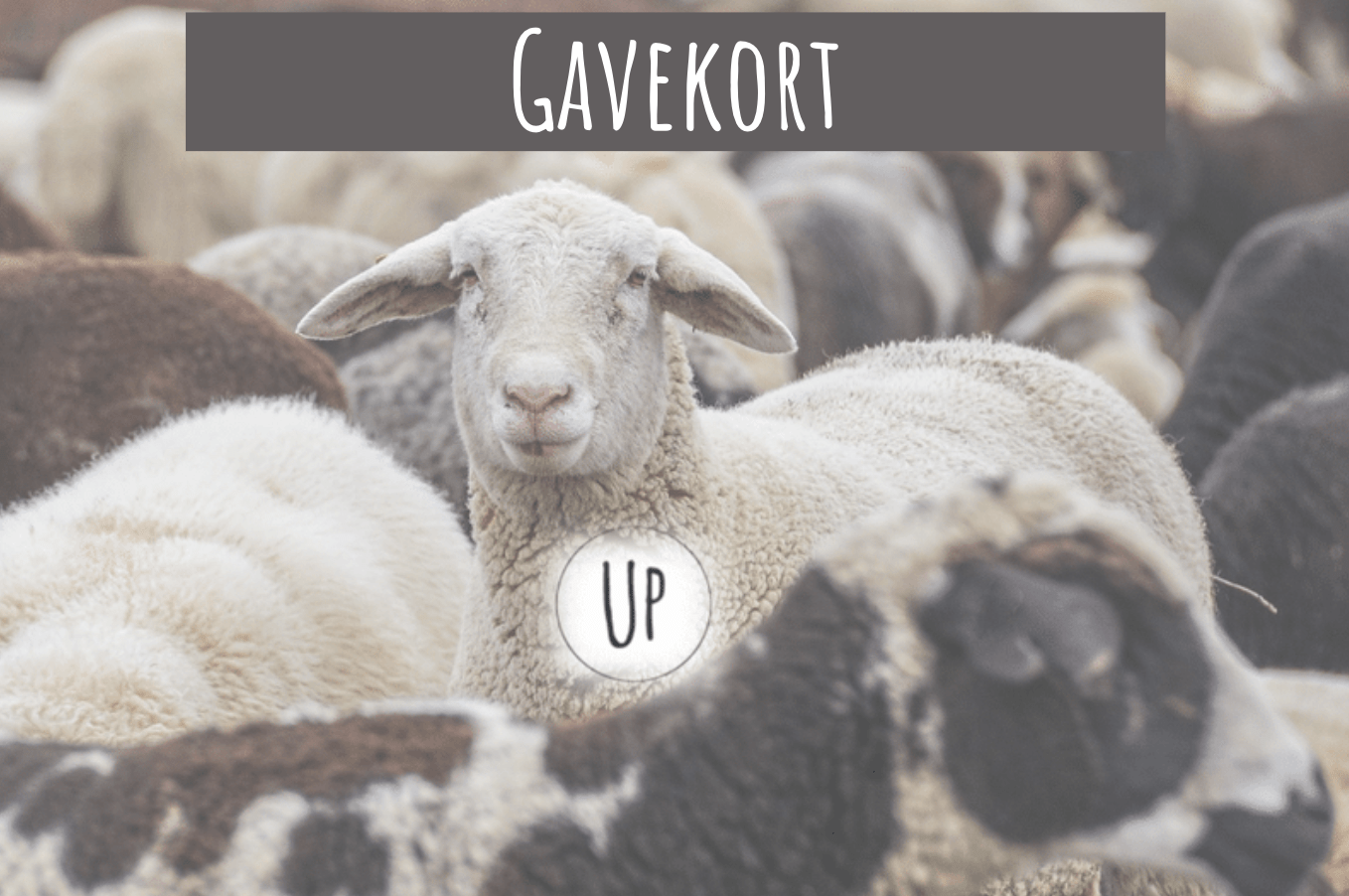 Gavekort Gavekort Uldplaiden